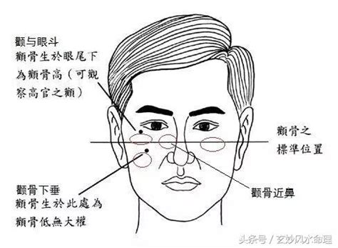 臉頰肉 面相|面相：從顴骨看你的富貴有多大！